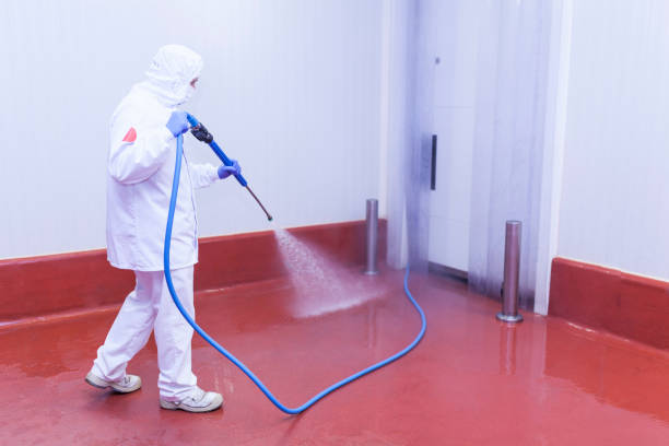 Best Roof Washing  in Easton, MD