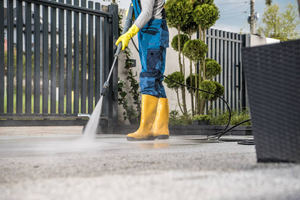 Best Rust Removal  in Easton, MD